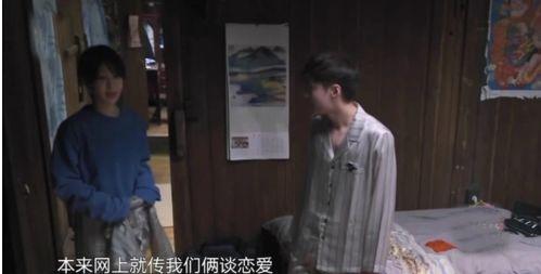 杨紫张艺兴绯闻爆料视频,真相与谣言的交织  第3张